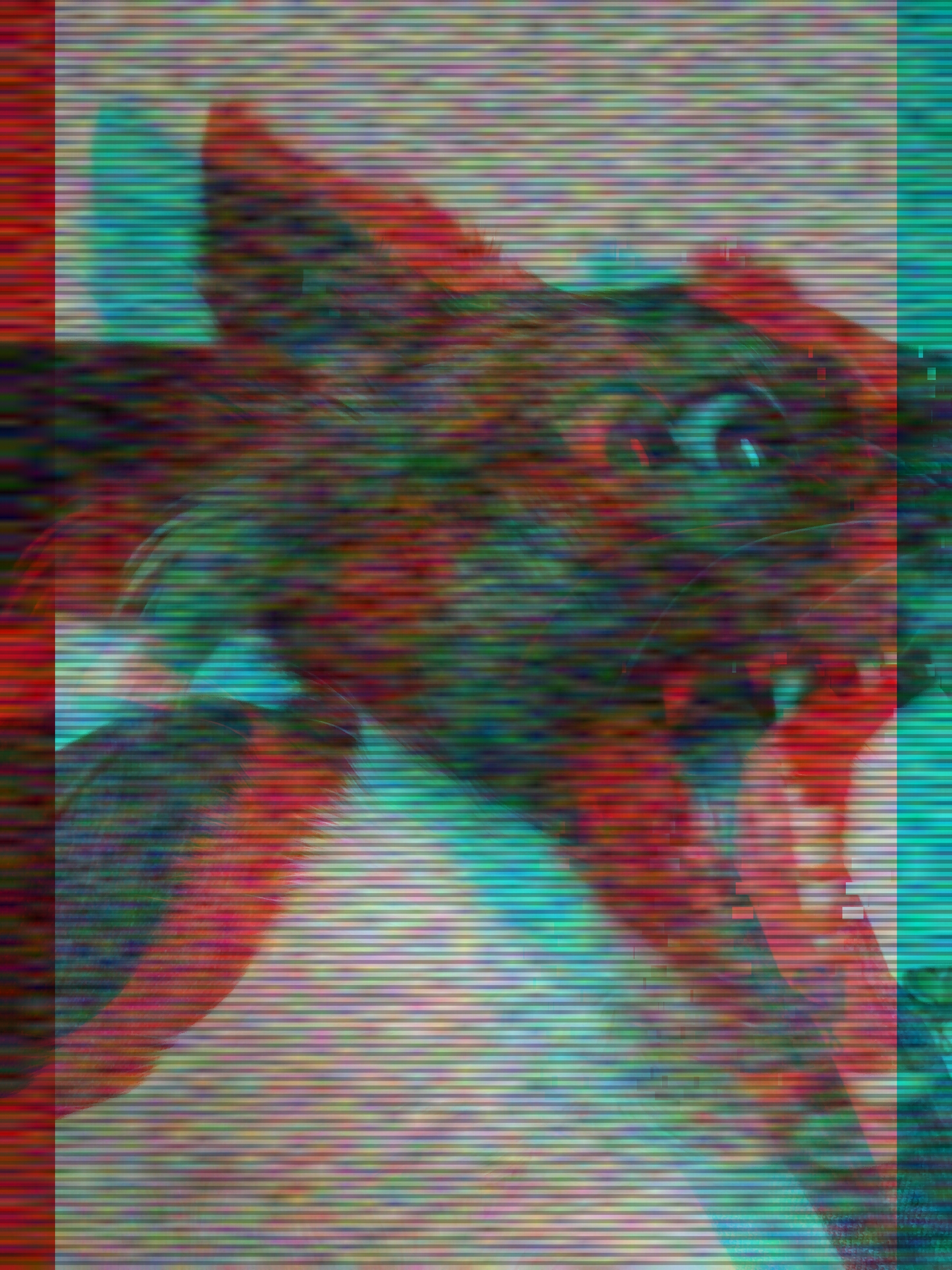 Glitch 2